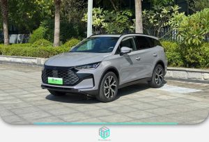 BYD Tang DM-i